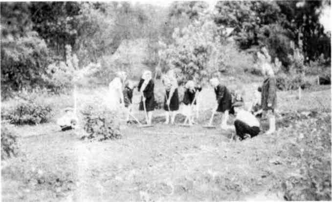 Спiртзавод 2